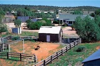 Bond Springs Outback Retreat Otel Alice Springs Dış mekan fotoğraf